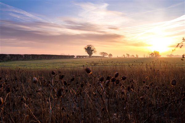 Wheatacre Hall Barns Rural setting